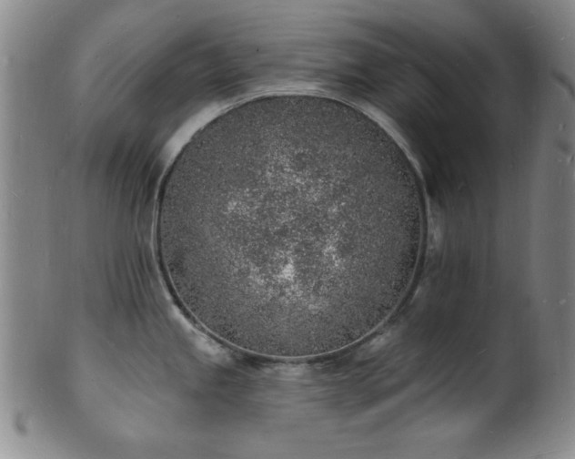 X0000101691245200807101505