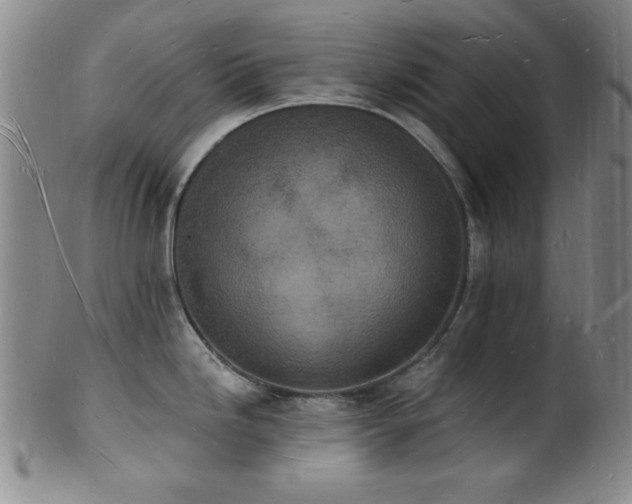 X0000101691246200807101505