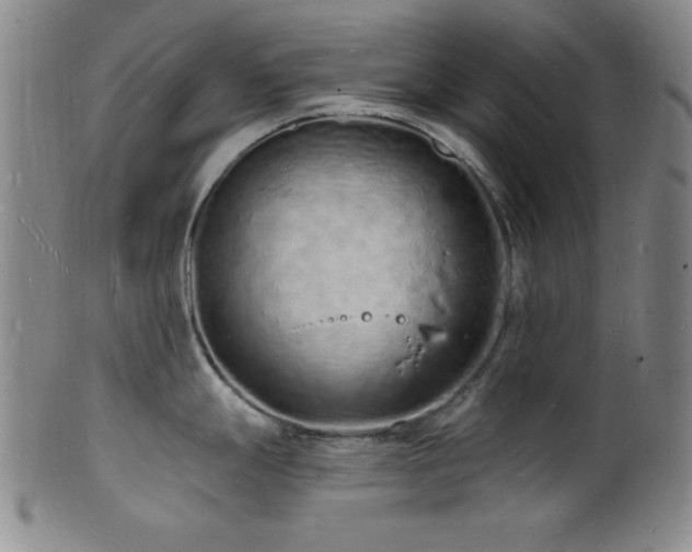 X0000101691247200807101505