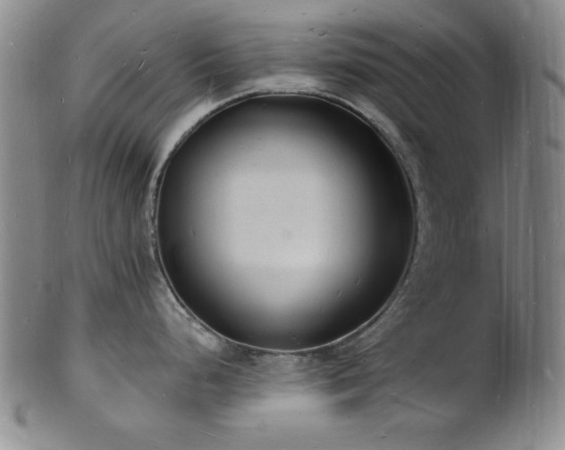 X0000101691248200807101505