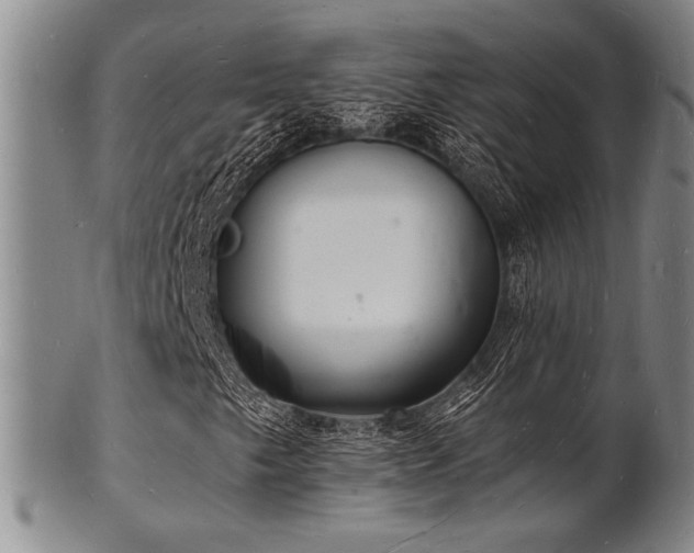 X0000101691249200807101505