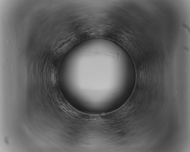 X0000101691250200807101505