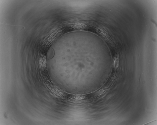 X0000101691251200807101505