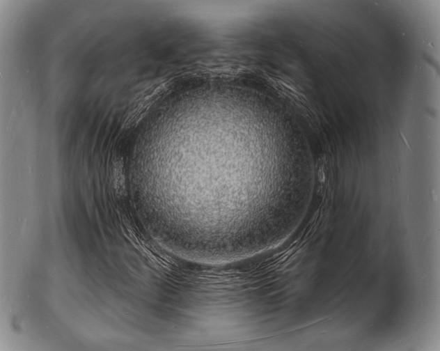 X0000101691252200807101505