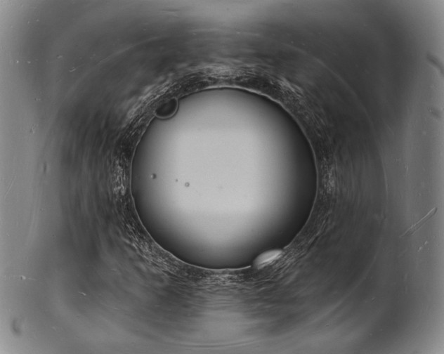 X0000101691253200807101505