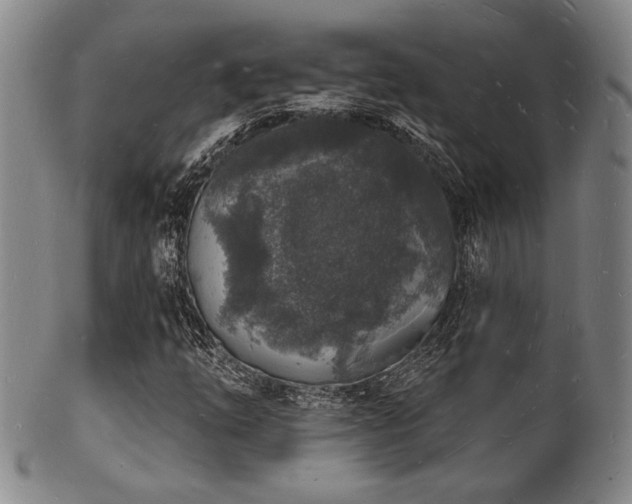 X0000101691254200807101505