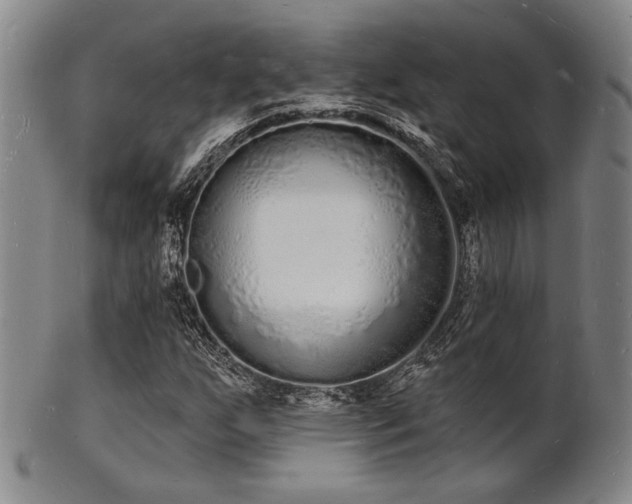 X0000101691255200807101505