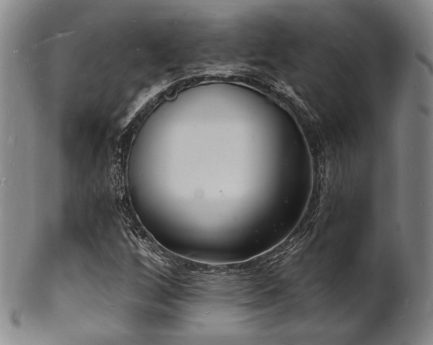 X0000101691256200807101504