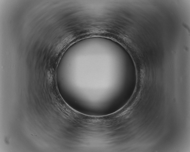 X0000101691257200807101504
