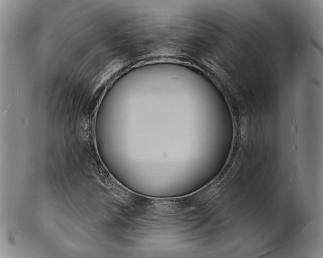 X0000101691258200807101504