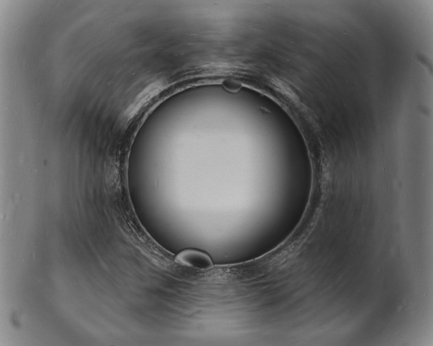X0000101691259200807101504