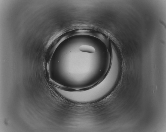 X0000101691261200807101504