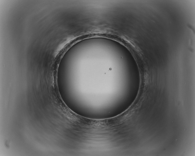 X0000101691262200807101504