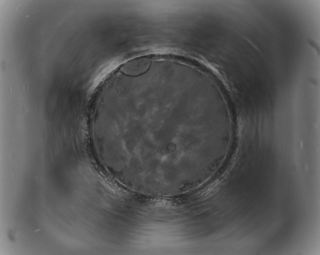 X0000101691263200807101504