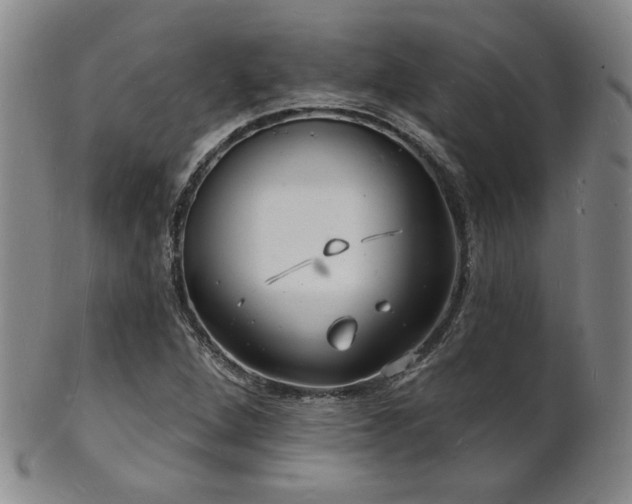 X0000101691264200807101504
