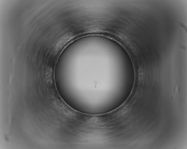 X0000101691265200807101504