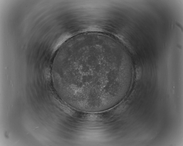 X0000101691266200807101504
