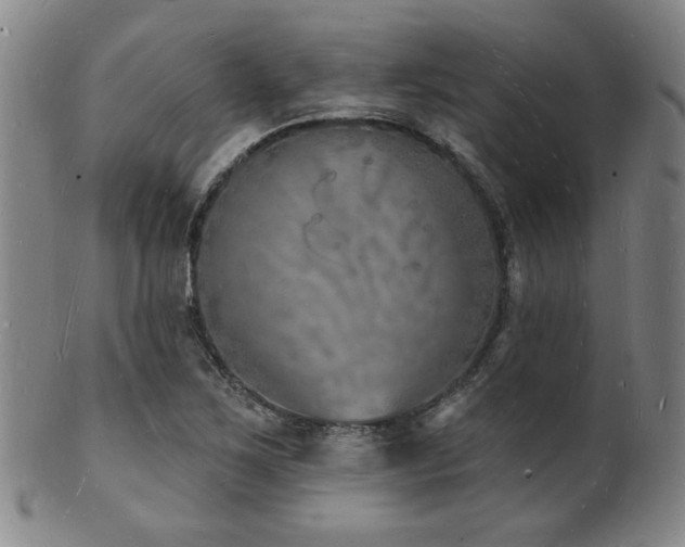 X0000101691267200807101504
