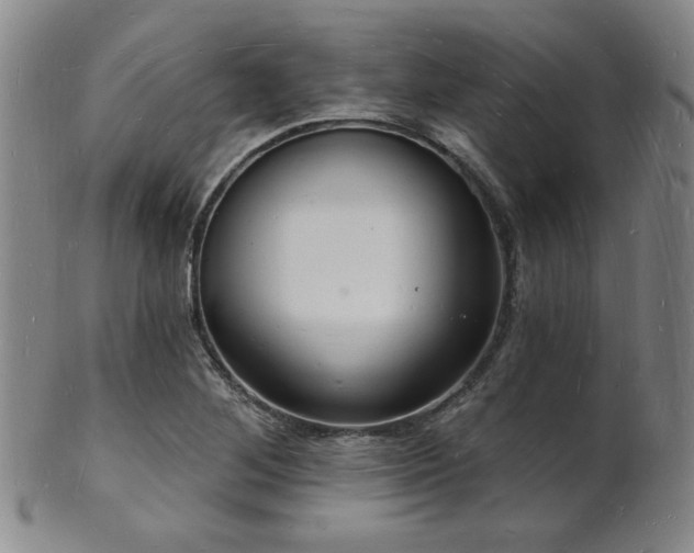 X0000101691268200807101504