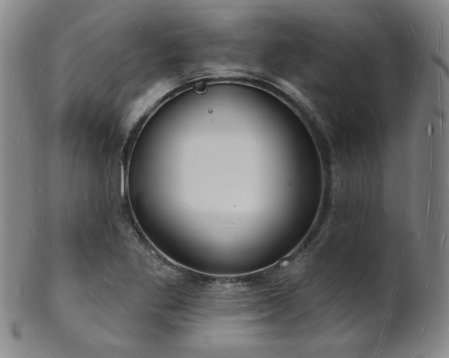 X0000101691269200807101504