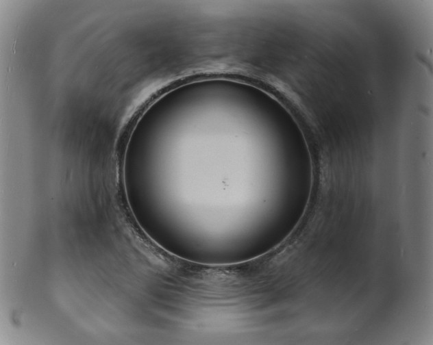 X0000101691270200807101504