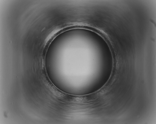 X0000101691271200807101504