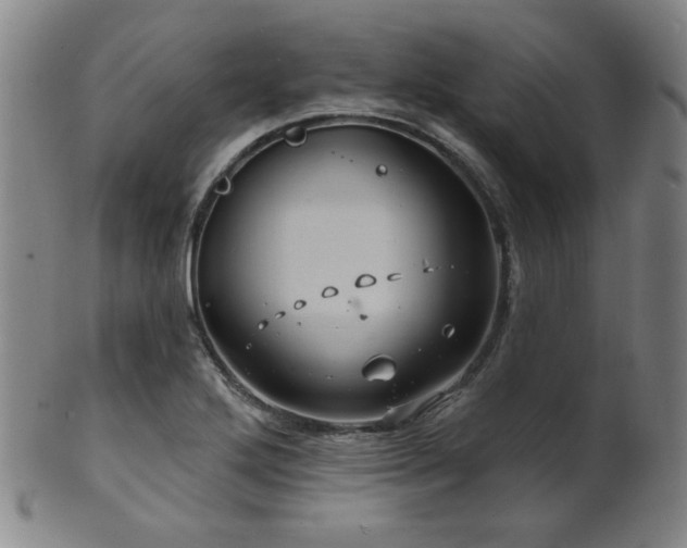 X0000101691272200807101504