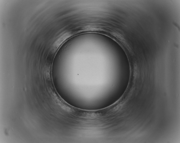 X0000101691273200807101504