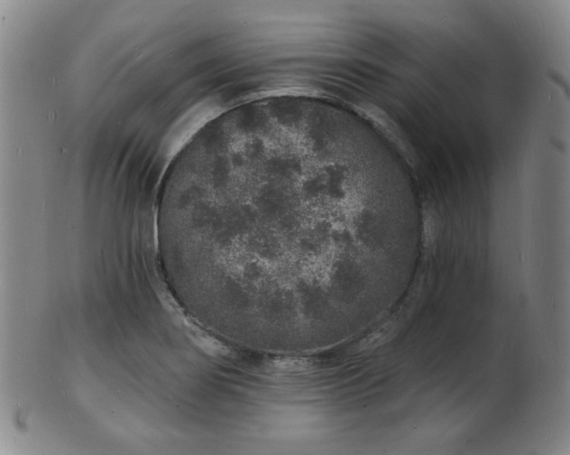 X0000101691274200807101504
