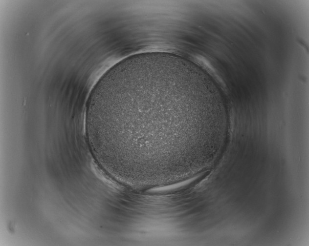 X0000101691276200807101504