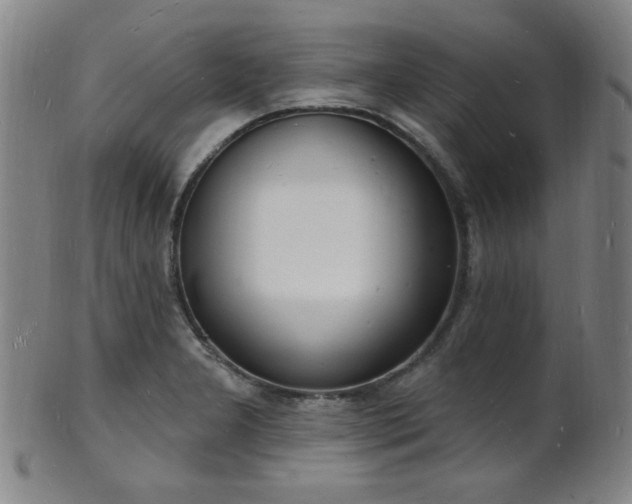 X0000101691277200807101504