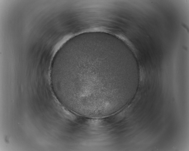 X0000101691278200807101504