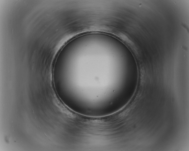 X0000101691280200807101504