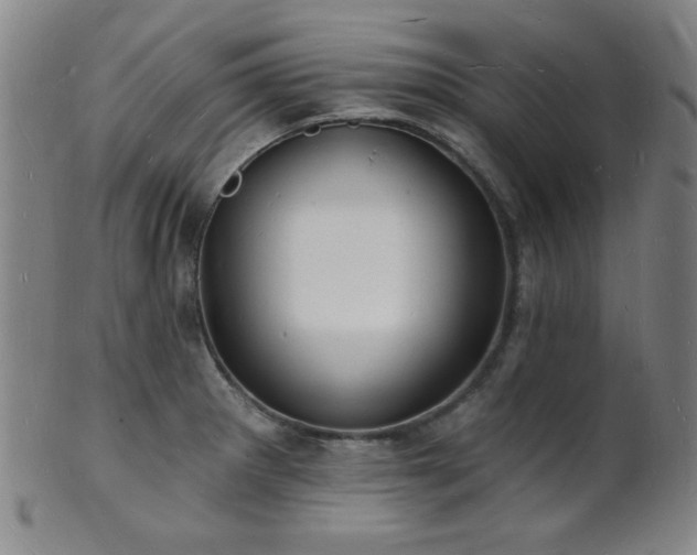 X0000101691281200807101504