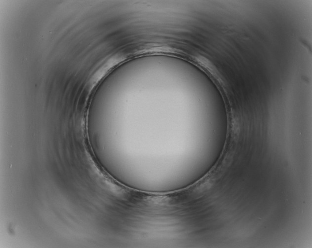 X0000101691282200807101504