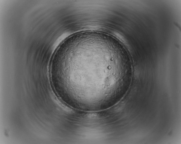 X0000101691283200807101504
