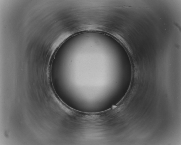 X0000101691285200807101504