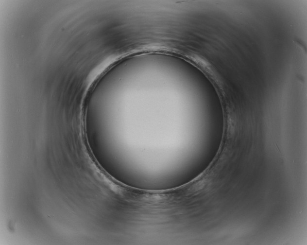 X0000101691286200807101504