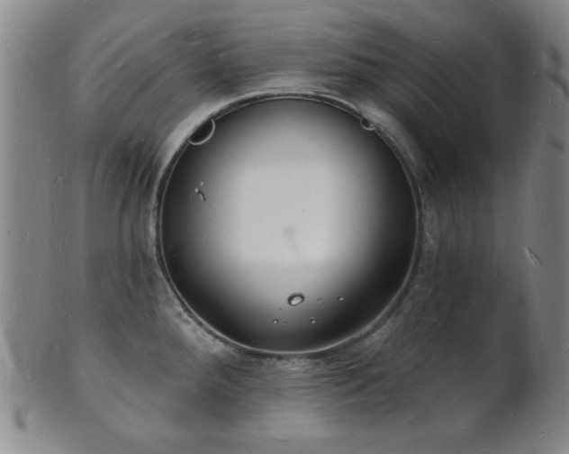 X0000101691288200807101504