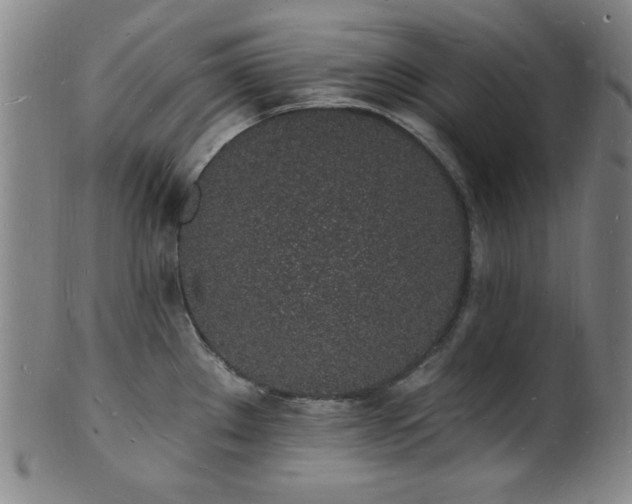 X0000101691289200807101504