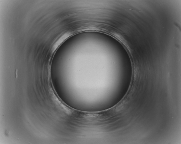 X0000101691290200807101504
