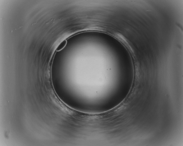 X0000101691292200807101504