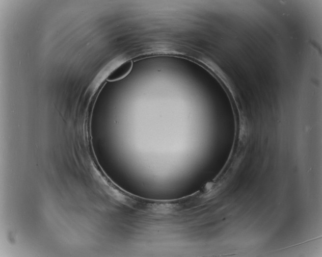 X0000101691293200807101504