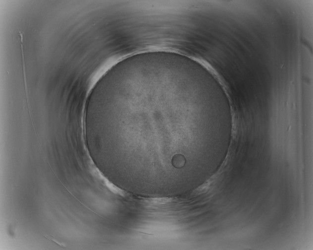 X0000101691294200807101504