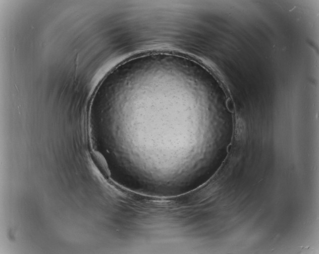 X0000101691295200807101504