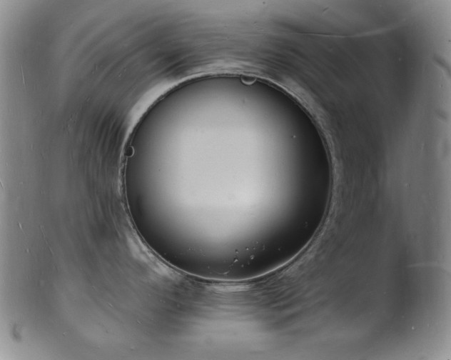 X0000101691296200807101504