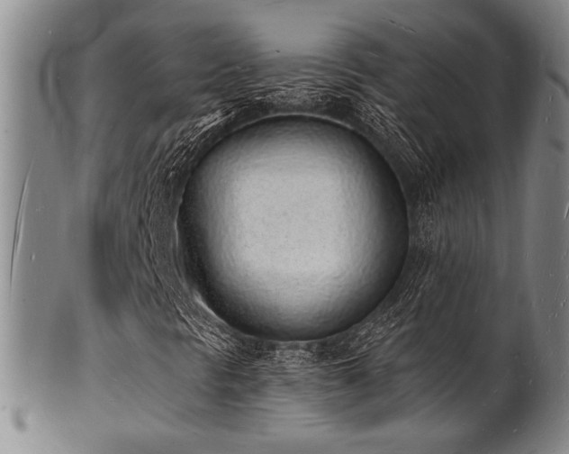 X0000101691297200807101503