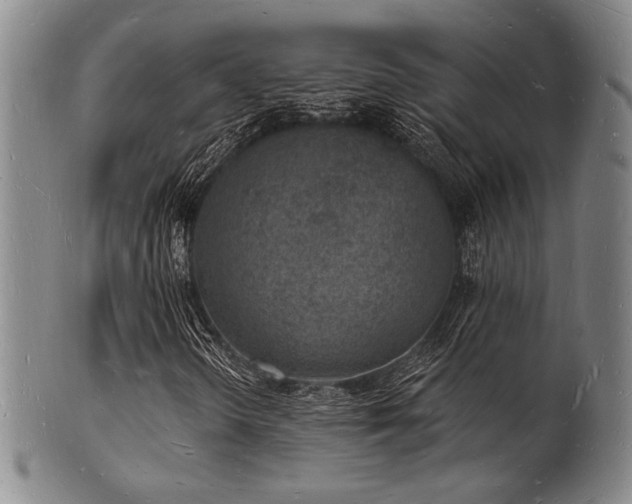 X0000101691298200807101503
