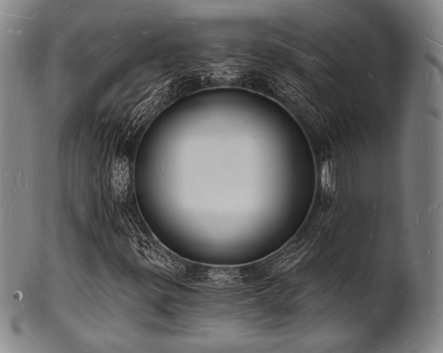 X0000101691299200807101503