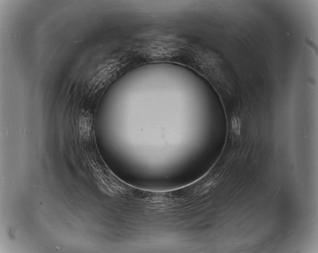 X0000101691300200807101503